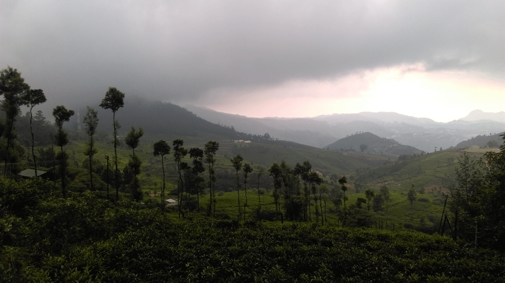 9 Acre land for sale in Ooty